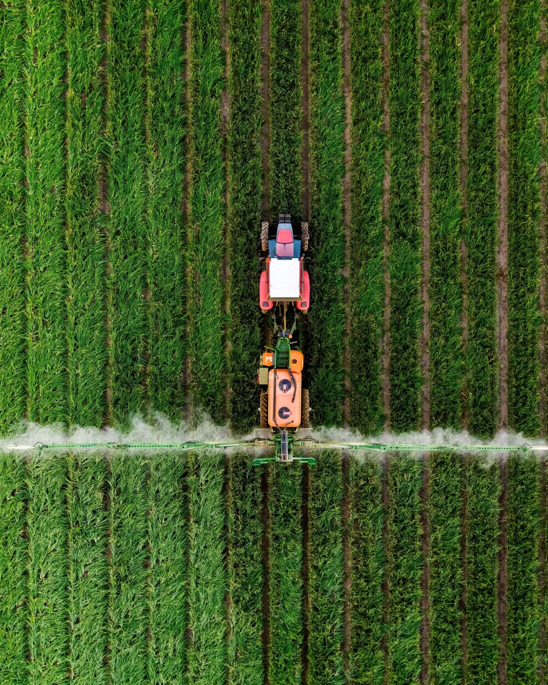 Про програму